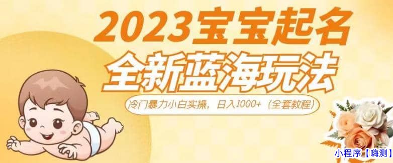 2023宝宝起名全新蓝海玩法，冷门暴力小白实操，日入1000+（全套教程）【揭秘】